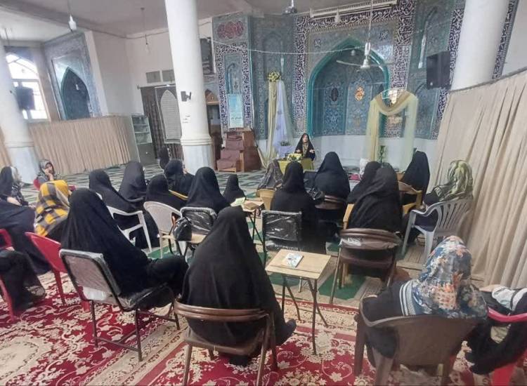 هالی